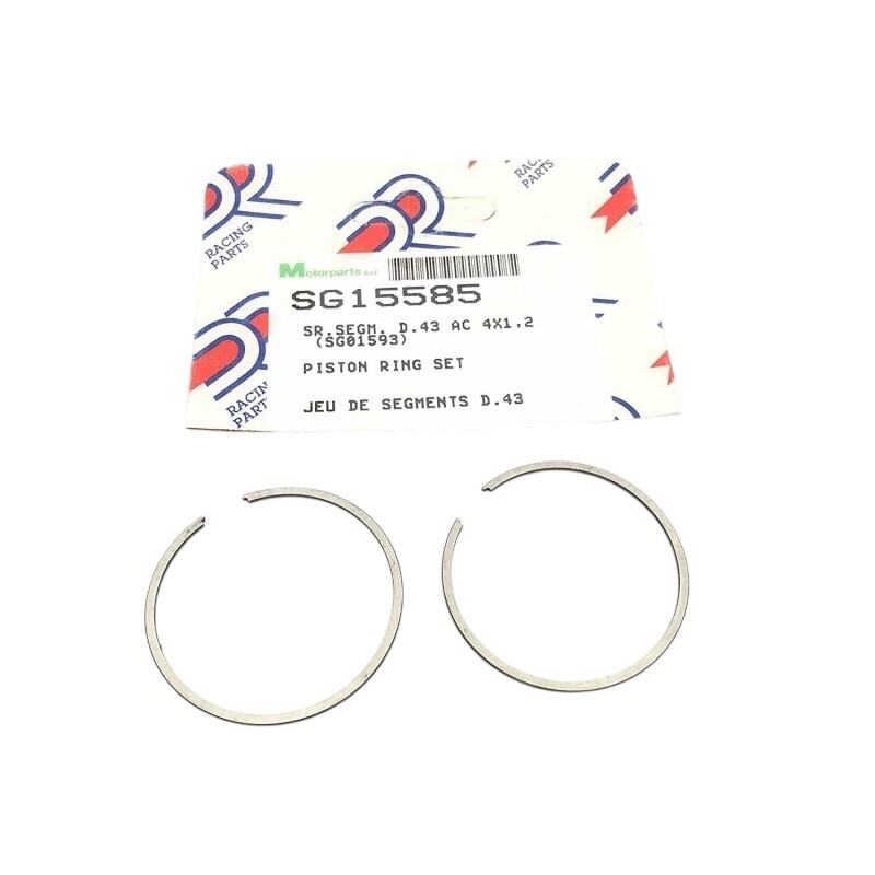 Photoroom_20260127_133342