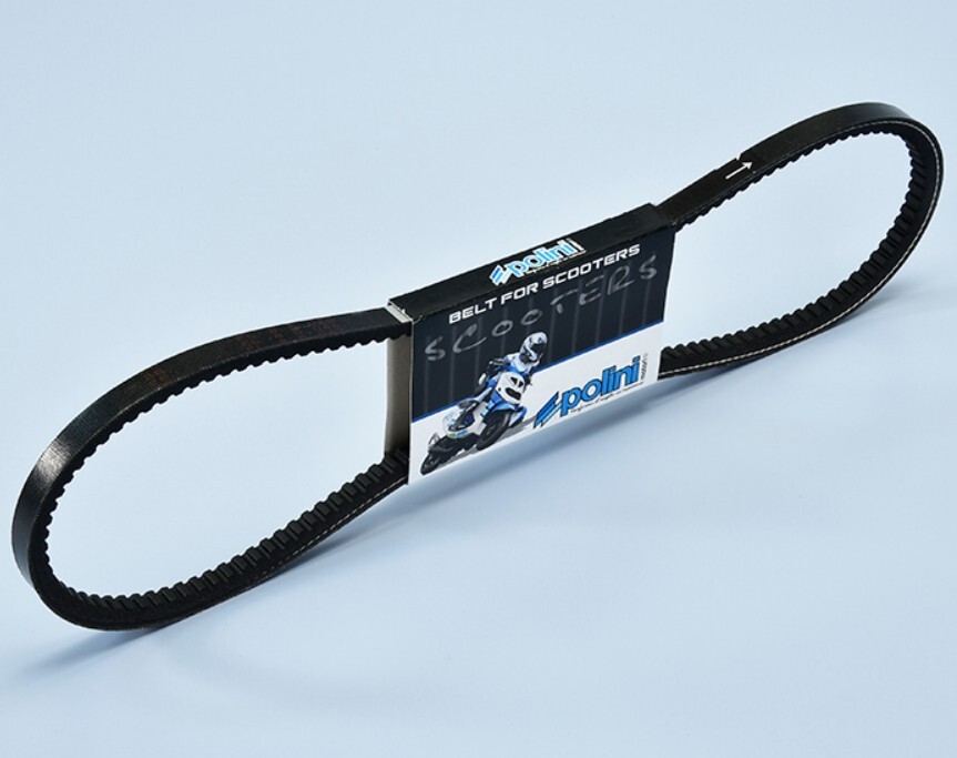 Immagine 2026-02-10 155752