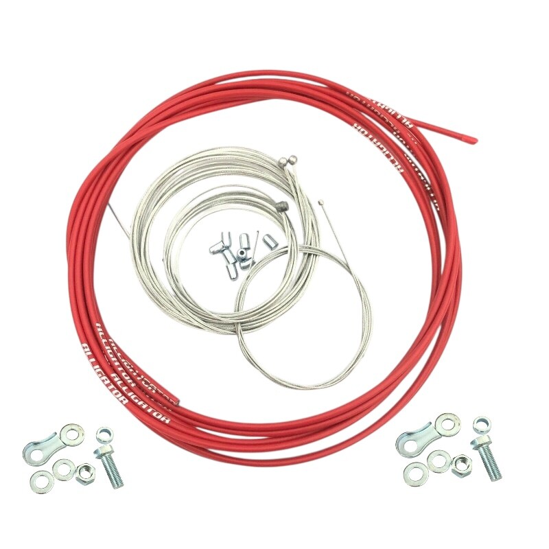 Photoroom_20260306_062031